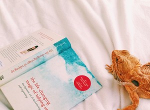 Cozying up with Gwen the Beardie and The Life-Changing Magic of Tidying up by Marie Kondo
